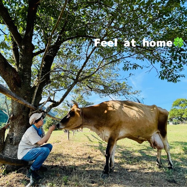 一般社団法人Feel at home