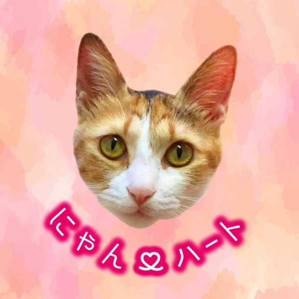 にゃん♡ハート