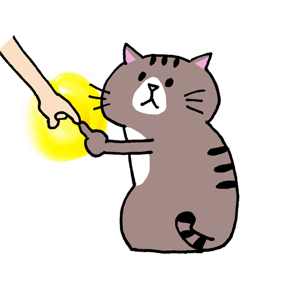 鈴木裕美(にゃんこねくと)