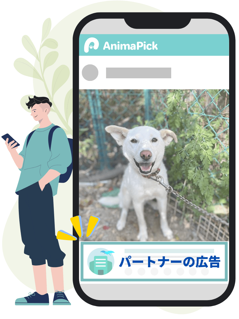 AnimaPickの特徴